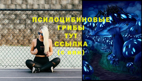 первитин Волосово